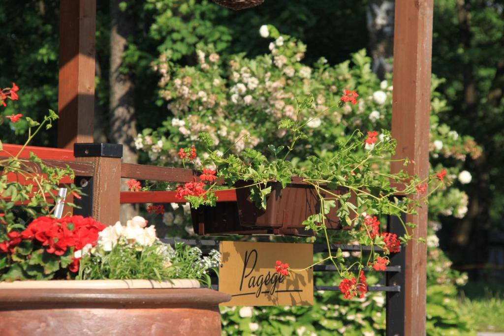 Sveciu Namai "Pagege" Bed & Breakfast Pagėgiai Dış mekan fotoğraf